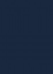 RAJSTOPY RÓŻNE 100 DEN