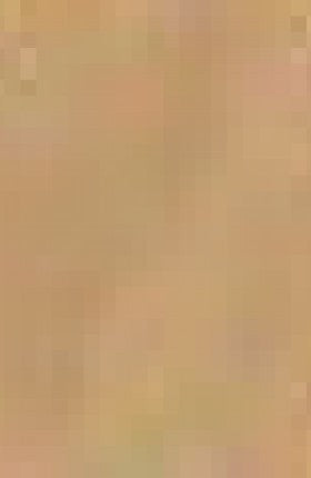 RAJSTOPY ELASTIL KARTONIK 60 DEN R.6